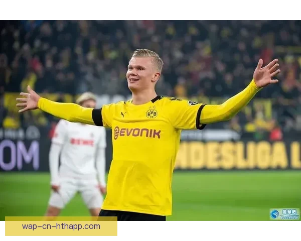 德甲足球开奖结果直播全面解析最新赛况与积分走势深度追踪对决进球瞬间